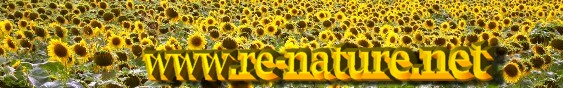 www.re-nature.net